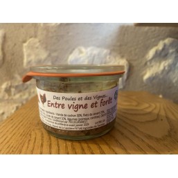 Entre vigne et forêt