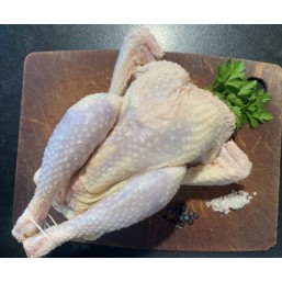 Poule à mijoter
